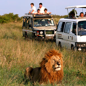 African Safaris